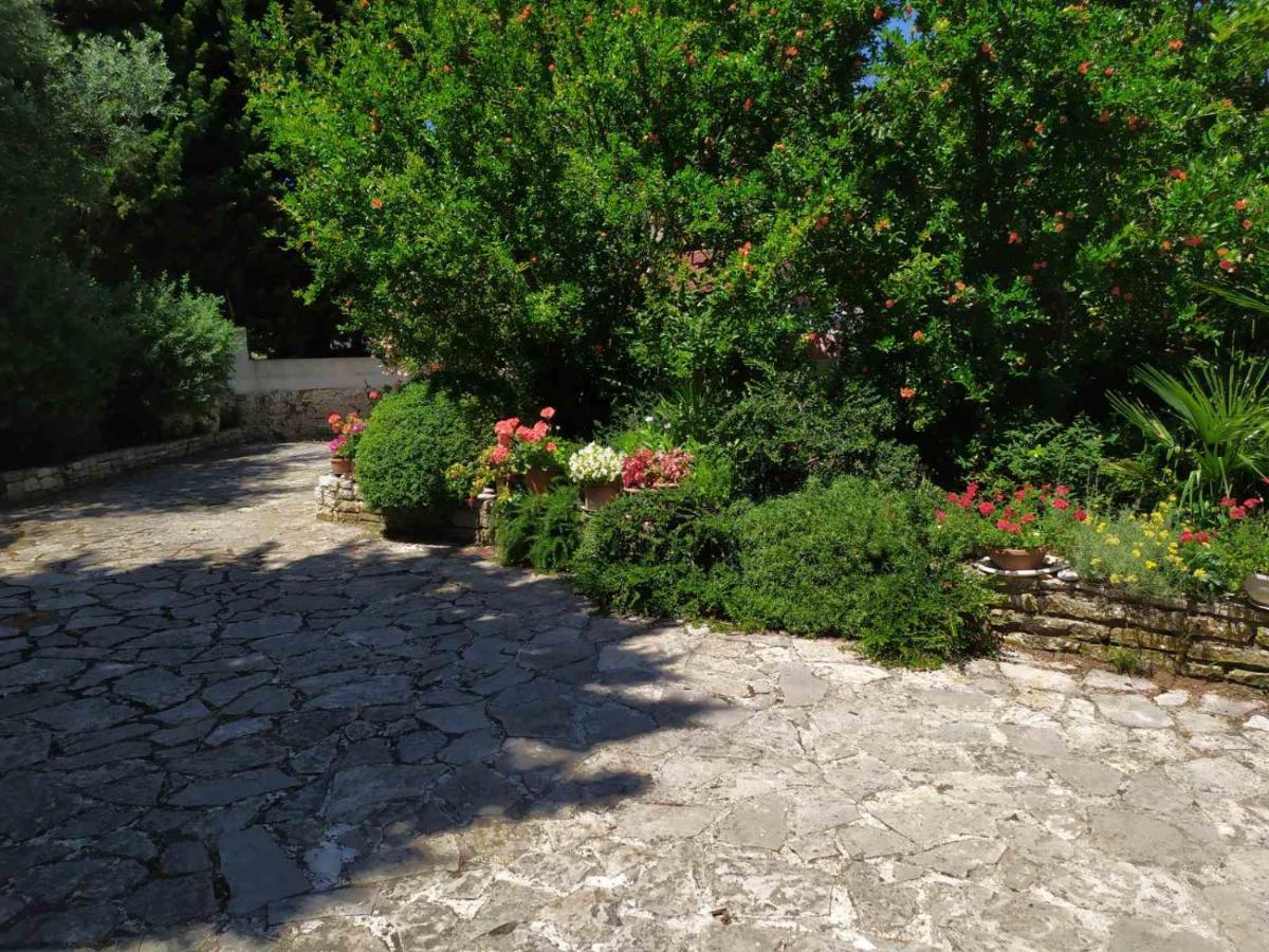 Apartament Pletikos